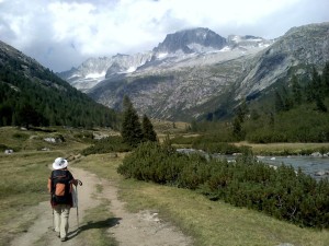 841205_648879901837162_489322484_o